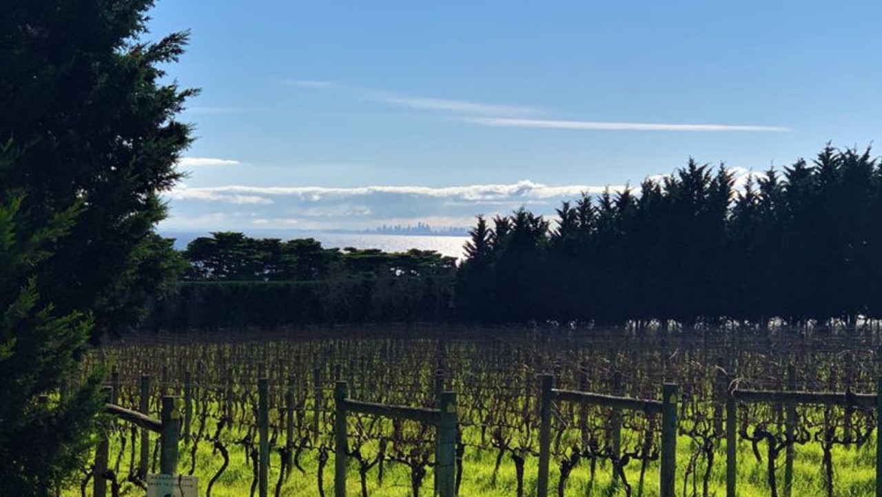 A private established vineyard.