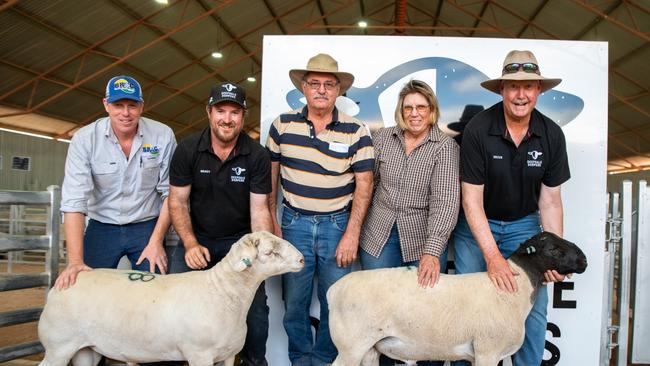 Deepdale Dorper rams that sold for $15,000 and $16,500 at their annual ram sale on Monday. Picture: Ellie Jade Photography