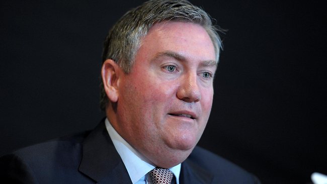 AFL boss Andrew Demetriou says Eddie McGuire will go through the league ...