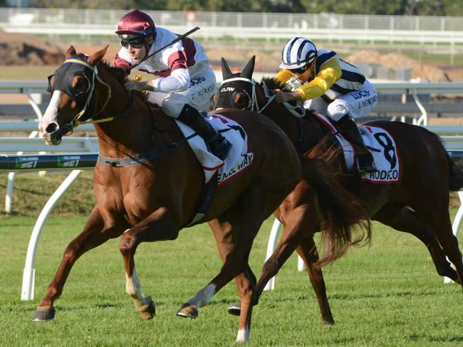 Jockey Tommy Berry sends the Hong Kong bound Eagle Way to the front. Picture: AAP