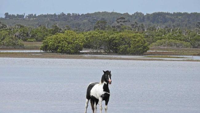 Cooling off at Lake Cakora.