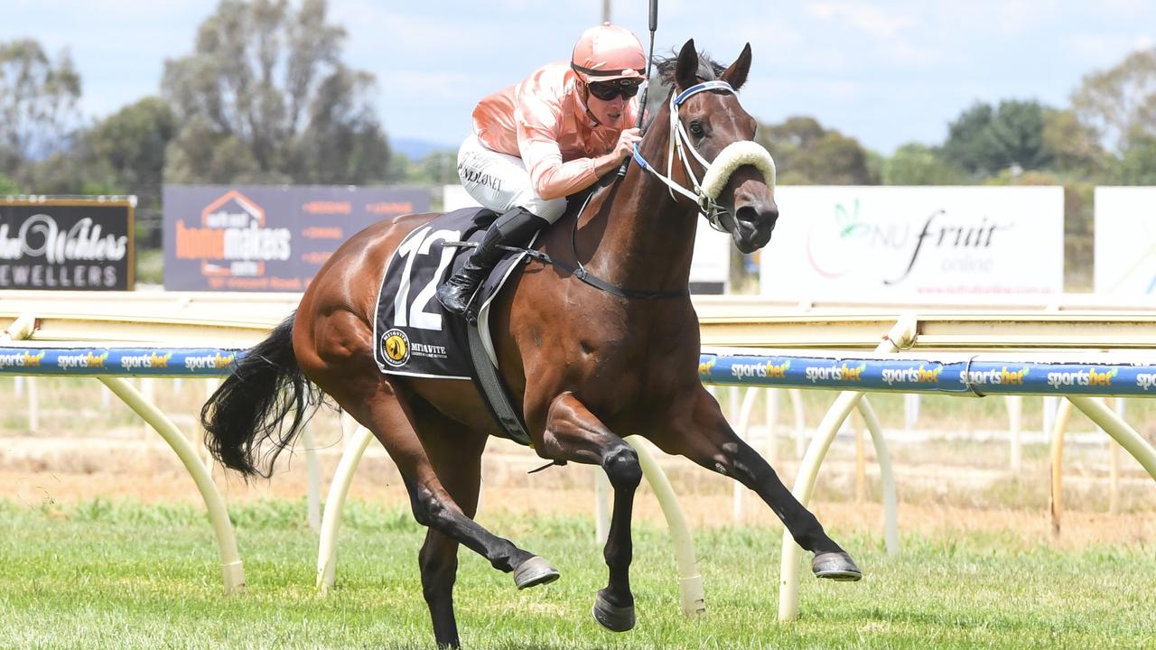 Black Caviar’s daughter Persian Caviar wins with her ears pricked for jockey Patrick Moloney at Wangaratta on Monday. Picture: Brett Holburt / Racing Photos