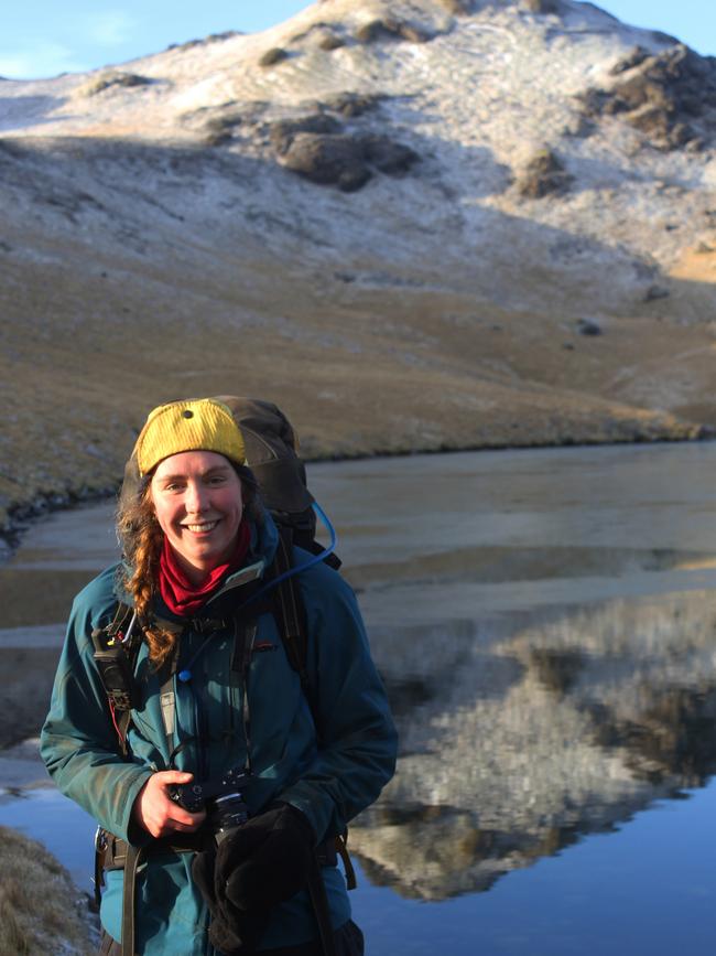 Penny Pascoe, a researcher with IMAS, has been investigating King Penguin chicks on Macquarie Island.