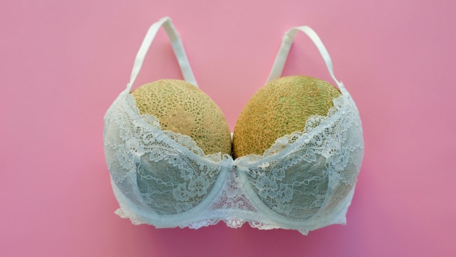 Bras N Things, The Fold: Brands profiting from big boobs