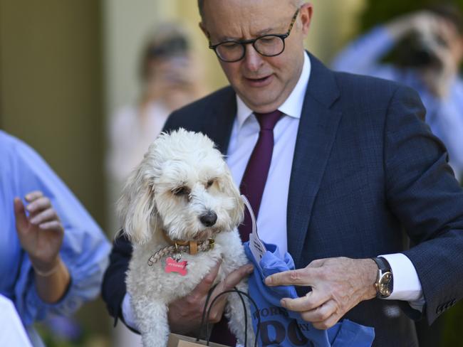 CANBERRA, AUSTRALIA - NOVEMBER 25: Prime Minister Anthony Albanese and partner Jodie Haydon and dog Toto host a group of 13 children and teenagers, and their families, who suffer from juvenile arthritis, for afternoon tea at The Lodge in Canberra. Picture: NCA NewsWire / Martin Ollman