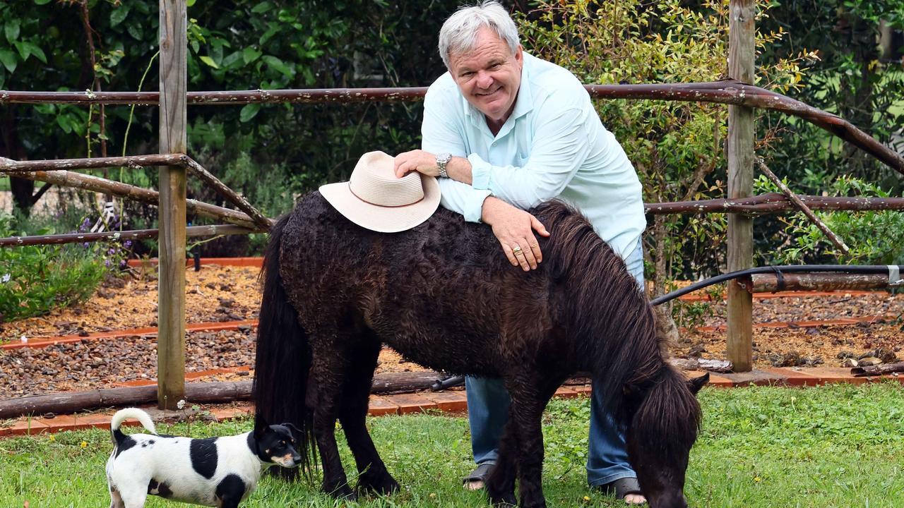 Peter Foster’s Clive Palmer TV series shot down by legal threat | The ...