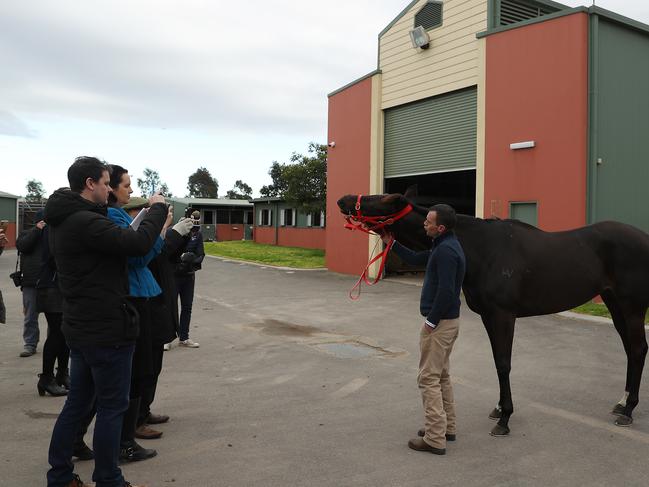 The new Winx? Not quite, but trainer Adam Trinder and Mystic Journey are certainly attracting plenty of attention from the media.