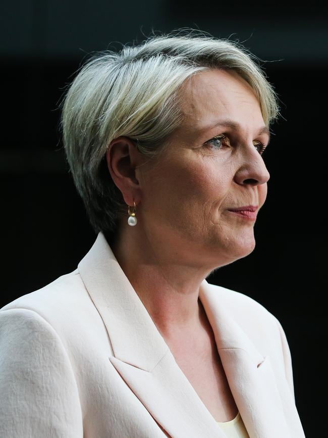 Environment Minister Tanya Plibersek.