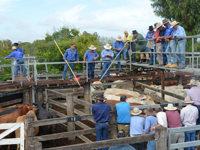 With beef prices remaining high the last thing farmers want is their cattle wandering where they could be hurt.