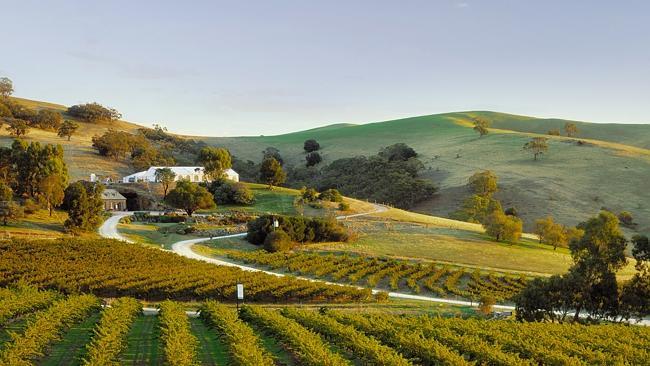 The TDU will run through some of the world’s most spectacular wine producing regions when its runs through the Barossa Valley.