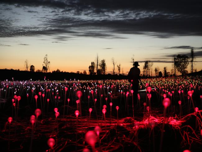 The solar-powered light exhibition runs until March 31, 2017. Picture: Mark Pickthall