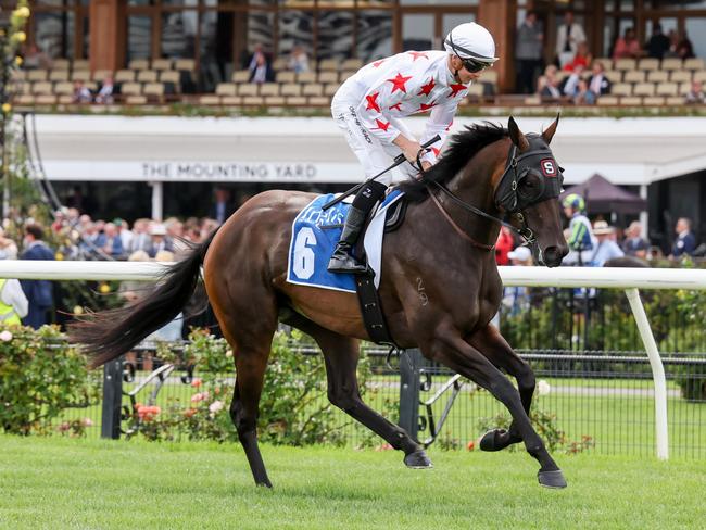 Paris Dior on the way to the barriers prior to the running of the Inglis Sprint at Flemington Racecourse on March 04, 2023 in Flemington, Australia. (Photo by George Sal/Racing Photos via Getty Images)