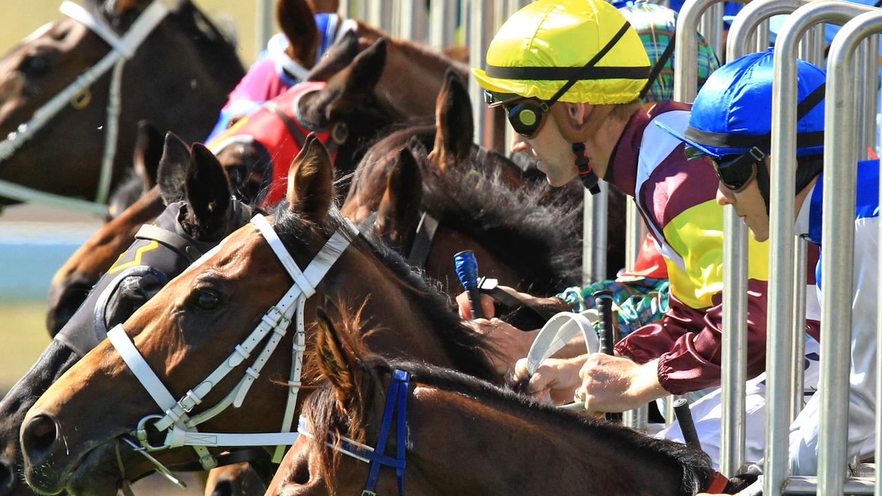 SCONE RACES