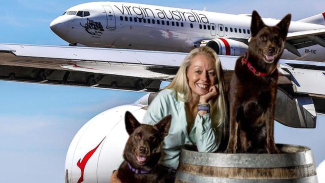 Film and television dog trainer Heidi Mackay welcomed Virgin Australia’s move but cautioned owners of highly anxious and “reactive” dogs against rushing to book tickets.