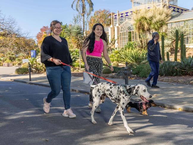 RSPCA SA's Million Paws Walk in Adelaide on May 25, 2025. Picture: Ben Clark