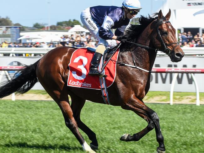 Johannes Vermeer was considered unlucky in the Caulfield Cup. Picture: Getty Images