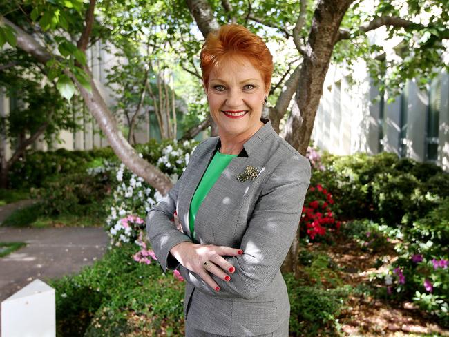 One Nation leader Senator Pauline Hanson