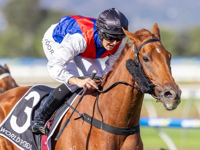 Sir Kingsford, ridden by Teagan Voorham, wins the Port Adelaide Cup at Morphettville on Saturday. Picture: Makoto Kaneko