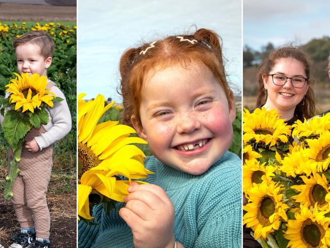 Photos 50+: Field of smiles at Warraba Sunflowers