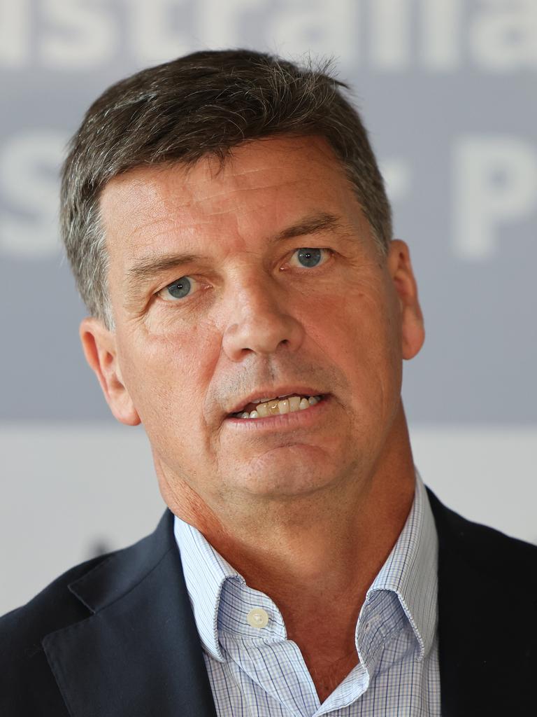 Potentials for deputy could include Energy Minister Angus Taylor. Picture: David Mariuz