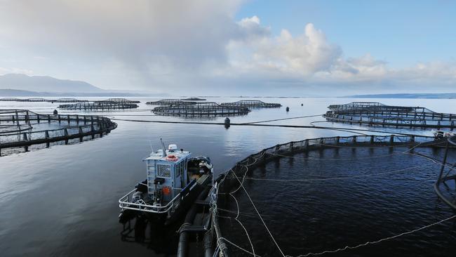 Tassal salmon pens, in Macquarie Harbour, Strahan, West Coast of Tasmania Picture: MATHEW FARRELL fish / pen / salmon / farm / fish farm / net / cage / aquaculture