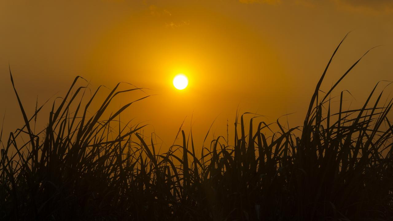 Damning new Qld daylight saving poll results | Herald Sun