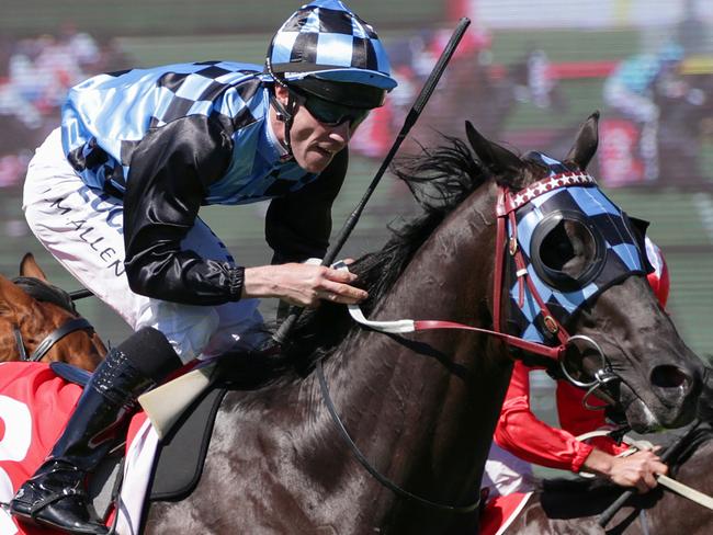 Jockey John Allen rides Ringerdingding to win race 7, Ladbrokes Sandown Guinneas, at Sandown Racecourse, Melbourne, Saturday, November 17, 2018. (AAP Image/George Salpigtidis) NO ARCHIVING, EDITORIAL USE ONLY