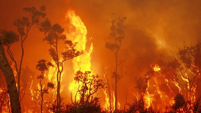 A bushfire emergency has blanketed much of Queensland in recent weeks.