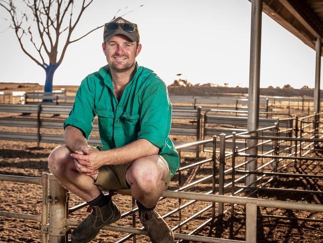 For The Weekly Times 2022 Farmer of the Year magazine. Hamish Thompson at Moojepin Merinos near Katanning in Western Australia. Picture: Tony McDonough