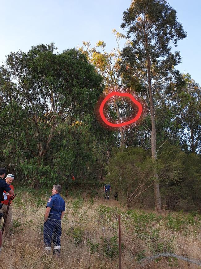 The parachuter was stuck in a tree 20m above the ground near Yea. Picture: Kinglake SES