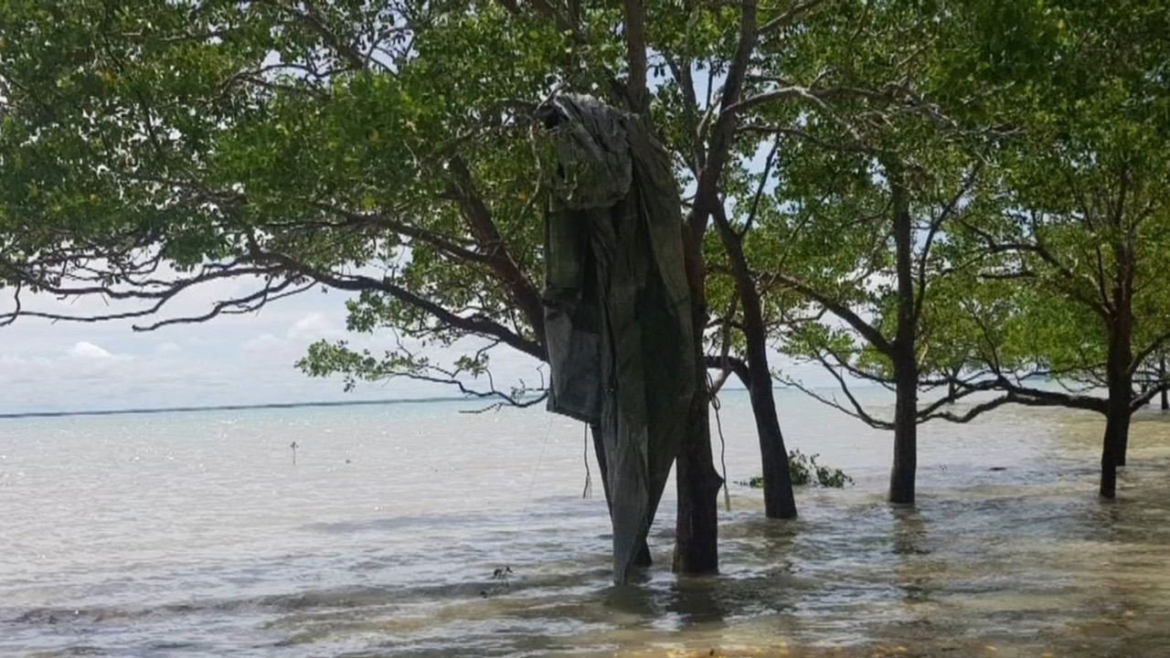 Two NT fishermen in stuck in tree for two days