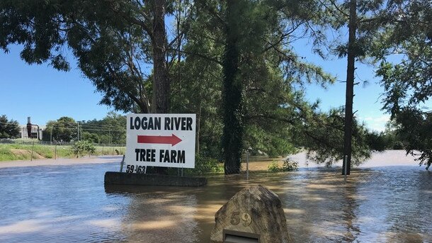 The entrance to the Logan River Tree Farm under flood. The gate is metres from the proposed train station car park. Picture: Contributed