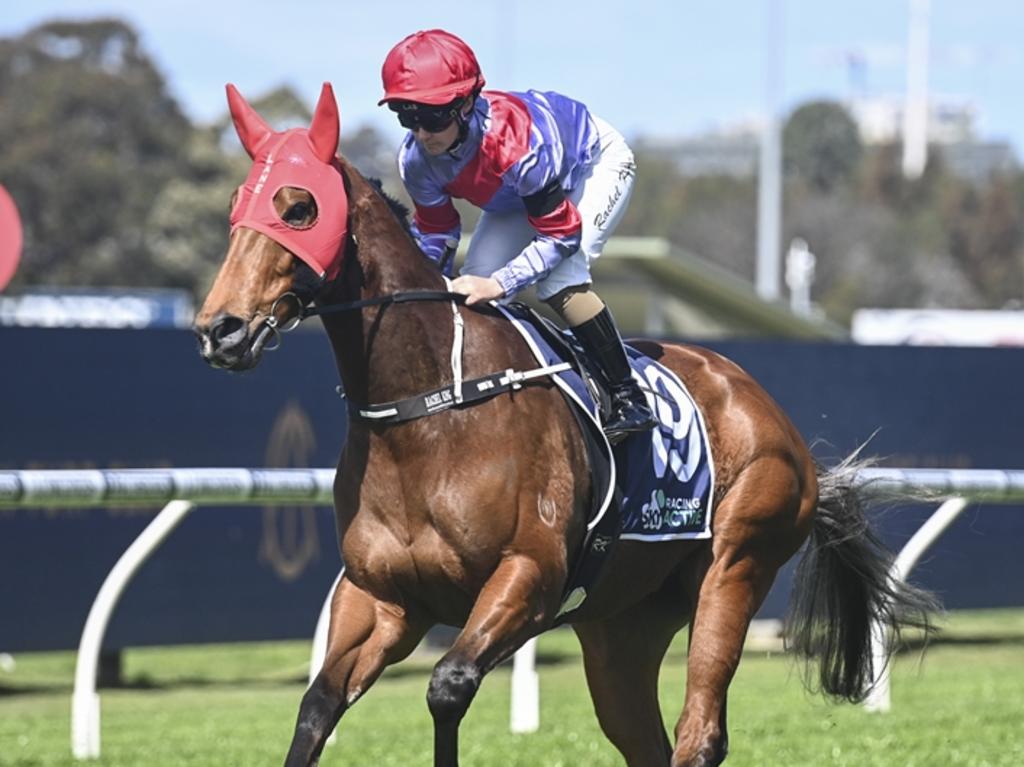 Tips | Horse Racing Tips | Herald Sun