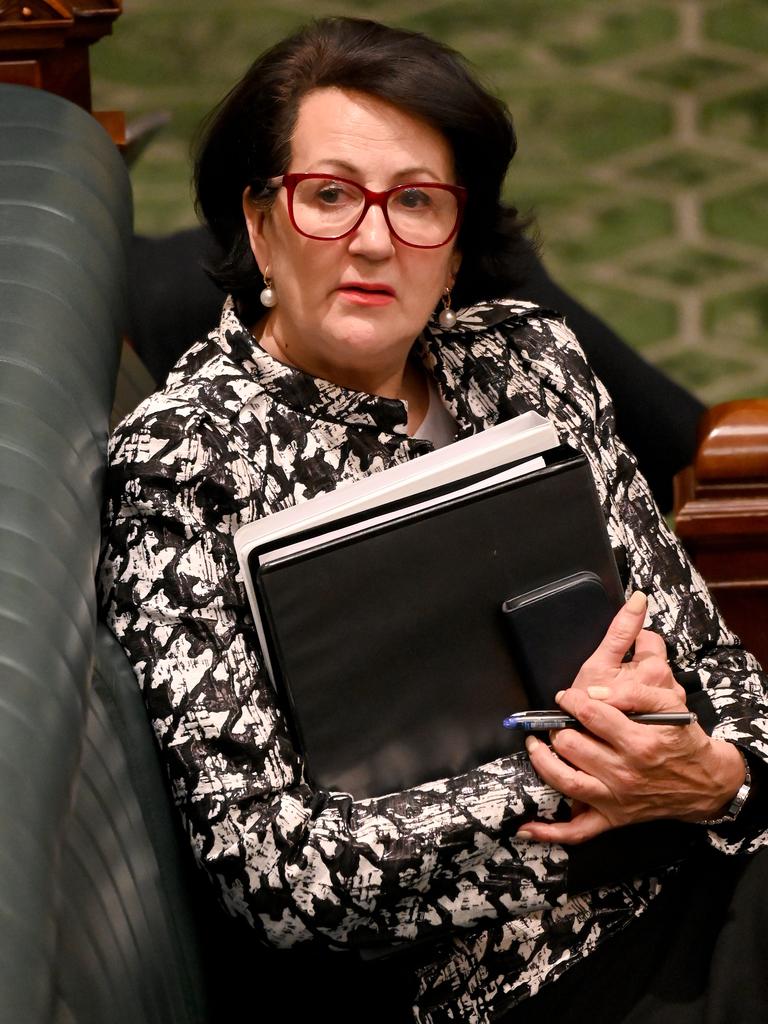 Vickie Chapman last year in parliament, on the day of the no-confidence vote. Picture: Naomi Jellicoe