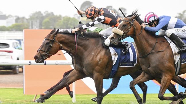 Fawkner Park bounced back to win the Rosehill Gold Cup. Picture: Bradley Photos