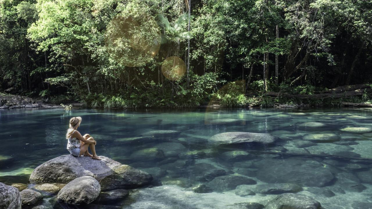 Nothing will rival the rainforest experience like a trip to the Daintree.