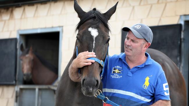 Trainer Richard Jolly at his Morphettville stables with Karlovasi and Extra Mile. Picture: AAP / Dean Martin