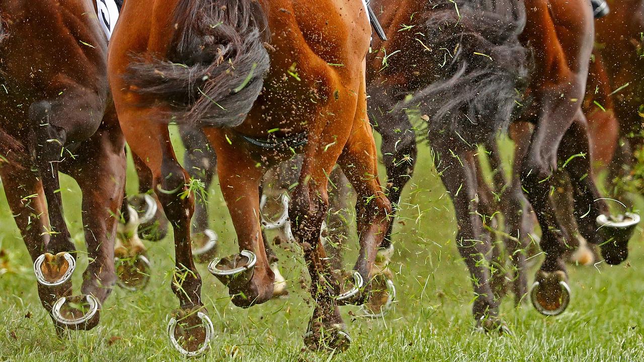 The hooves fly. Picture: Getty Images