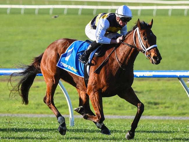 Amade (IRE) ridden by Daniel Stackhouse wins the Sportsbet Sandown Cup at Sportsbet Sandown Lakeside Racecourse on June 02, 2024 in Springvale, Australia. (Photo by Pat Scala/Racing Photos via Getty Images)