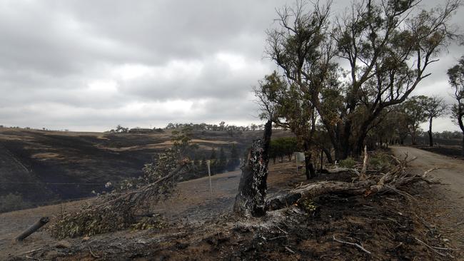 The 2009 Black Saturday fires devastated the communities around Ross Noble home in St Andrews. Picture: Darren Tindale