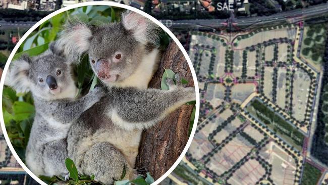 A Land and Environment Court is hearing about proposed conditions which could be imposed if a major West Byron development, proposed by Site R & D, is approved following an ongoing court appeal.