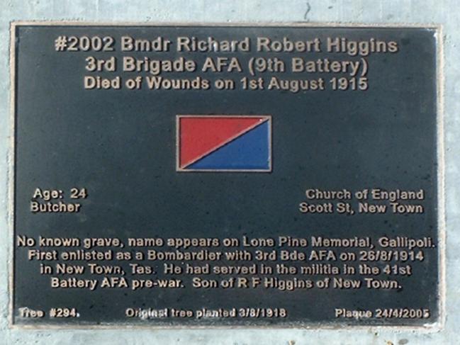 Richard Higgins’ plaque on the Soldiers’ Memorial Avenue.