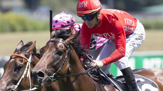 Brave Song probably has the measure of his southern rivals. Picture: AAP