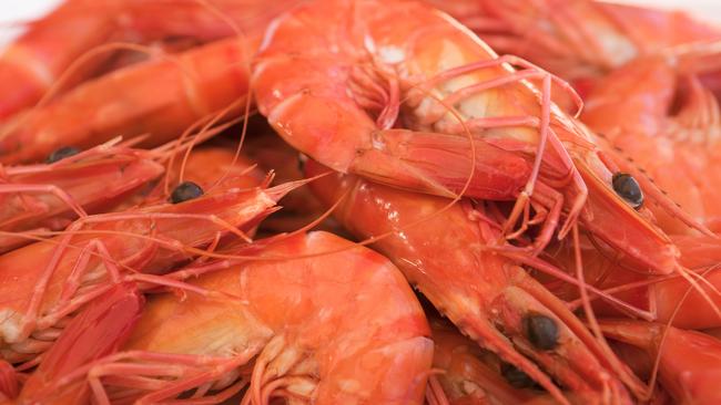 There is currently an outbreak of white spot disease in Australia’s prawn supply.