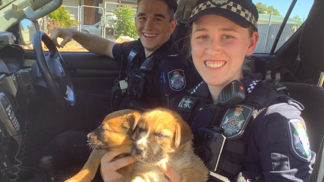 It took police less than two days to find all five of the missing pups. Picture: Queensland Police