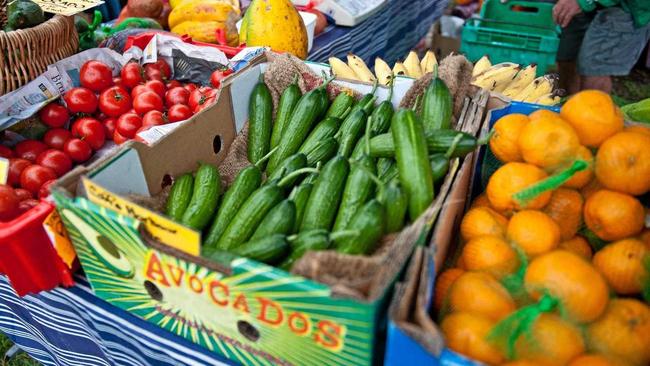 NEW GROUP: Water is a precious resource for horticulture. Picture: Rob Wright