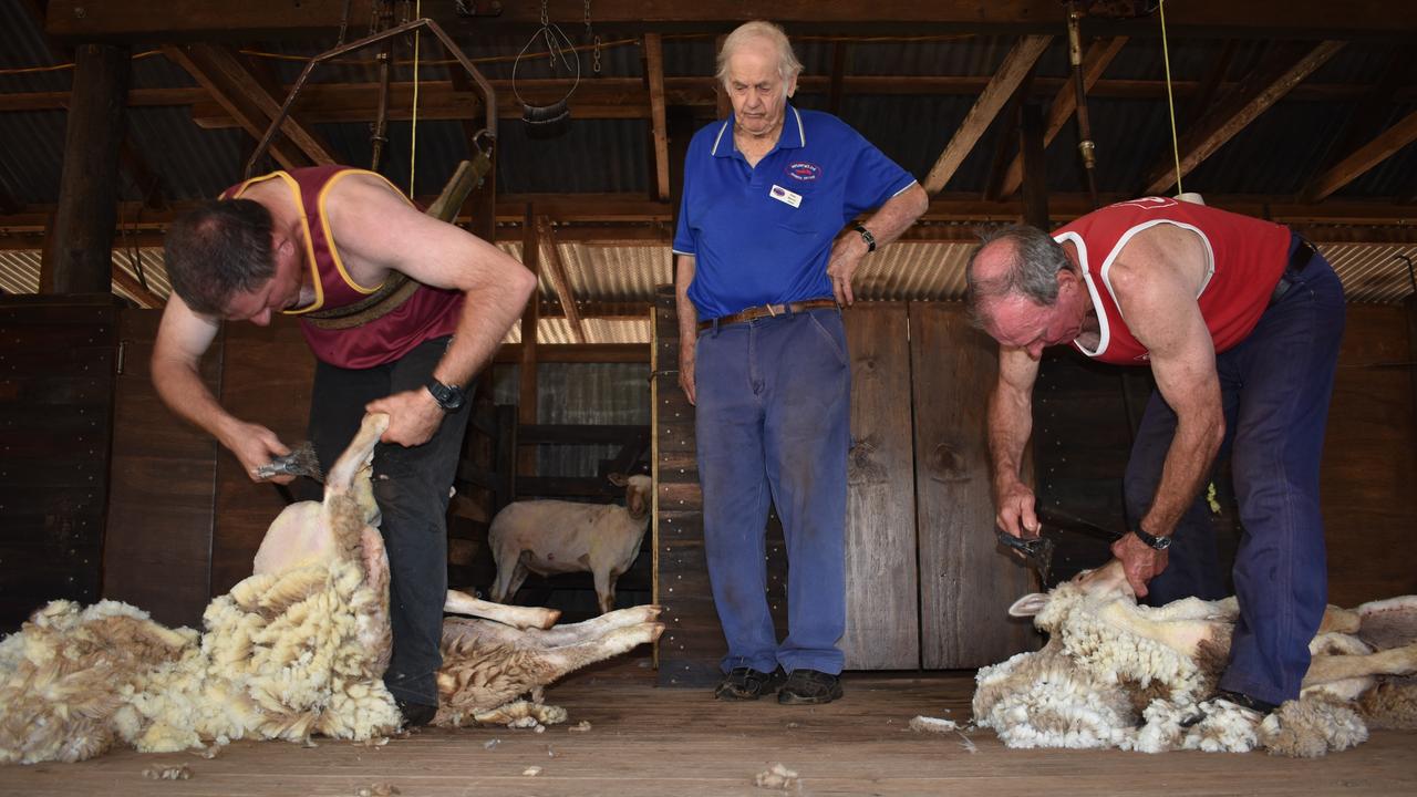 Willy O’Toole, Peter Harvey and Terry Arnold shearing sheep at the 2018 Highfields Pioneer Village Easter Vintage Festival.