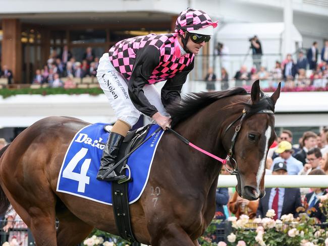 Rothfire on the way to the barriers prior to the running of the Darley Champions Sprint at Flemington Racecourse on November 05, 2022 in Flemington, Australia. (Photo by George Sal/Racing Photos via Getty Images)