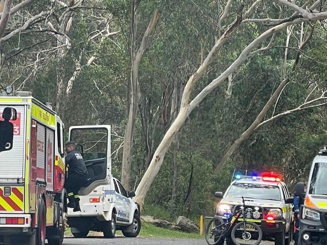 Intrepid operation to rescue rider in bushland