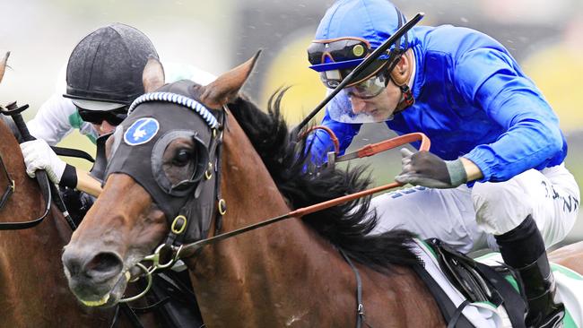 Medcaut will be chasing a third straight win on Saturday. Picture: Jenny Evans
